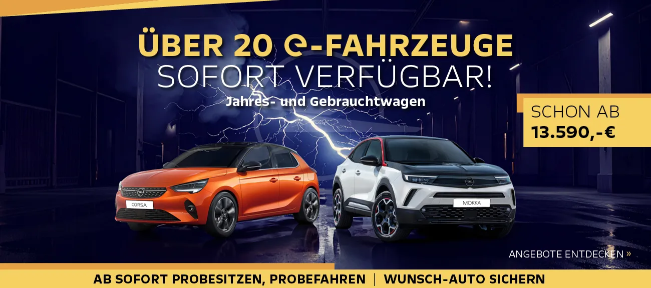 eFahreug Abverkauf