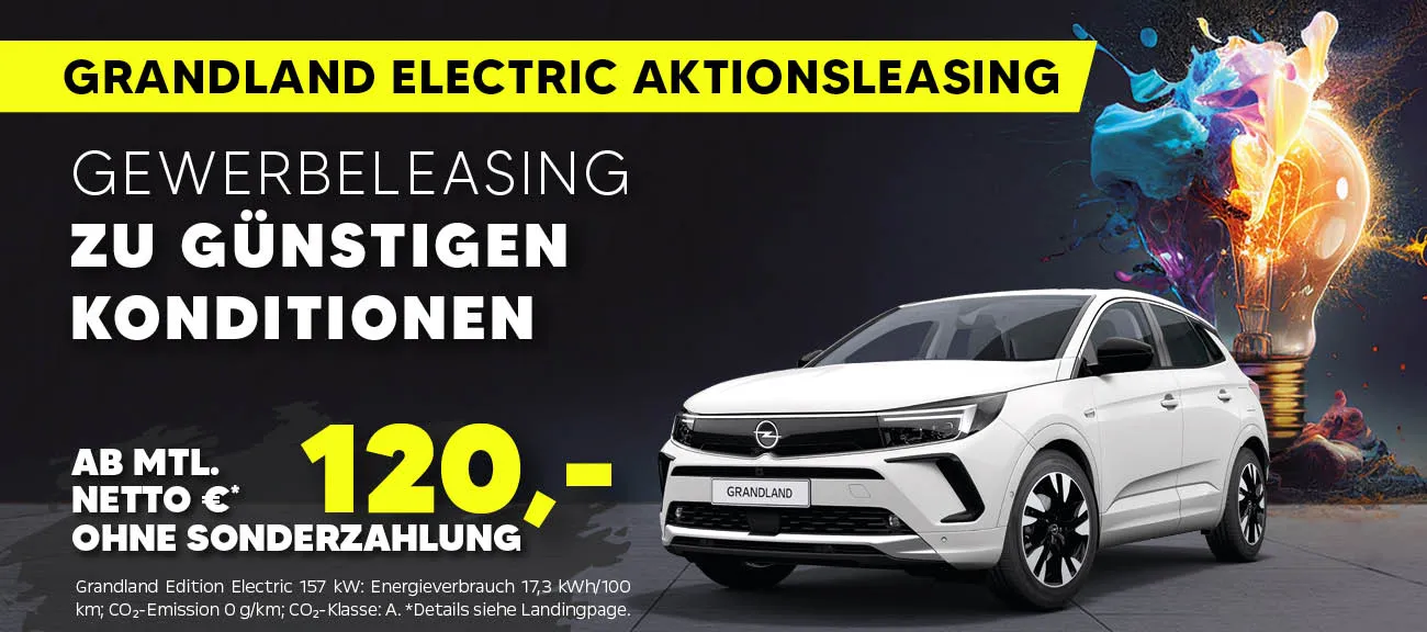 Slider Gewerbe Grandland Electric